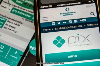 Revolução no Pagamento: Pix permitirá compras a crédito, anuncia presidente do BC