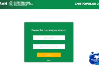 Saiba como consultar sua inscrição no Programa CNH Popular 2023