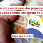 Descubra os valores dos pagamentos do Bolsa Família em agosto