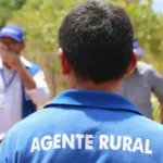 SDA lança edital com 241 vagas para técnicos agropecuários em todo o estado