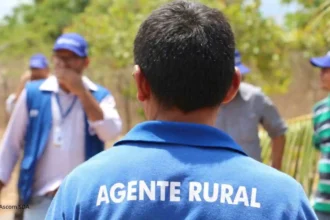 SDA lança edital com 241 vagas para técnicos agropecuários em todo o estado