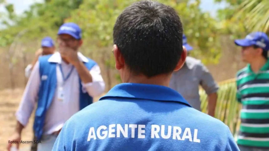 SDA lança edital com 241 vagas para técnicos agropecuários em todo o estado