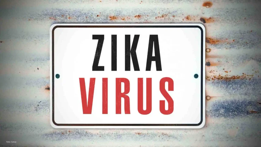 Saiba como solicitar a pensão vitalícia decorrente do zika vírus