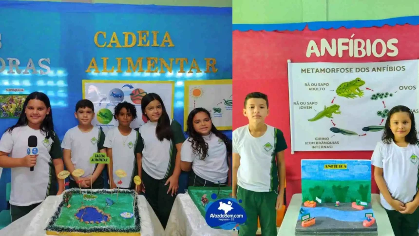 Feira de Ciências e Arte destaca talentos no Centro Educacional Farias Costa