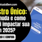 Novo Cadastro Único: O que muda e como isso vai impactar sua vida em 2025?