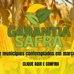 Saiba a lista de municípios contemplados com o pagamento do Garantia-Safra em março de 2025