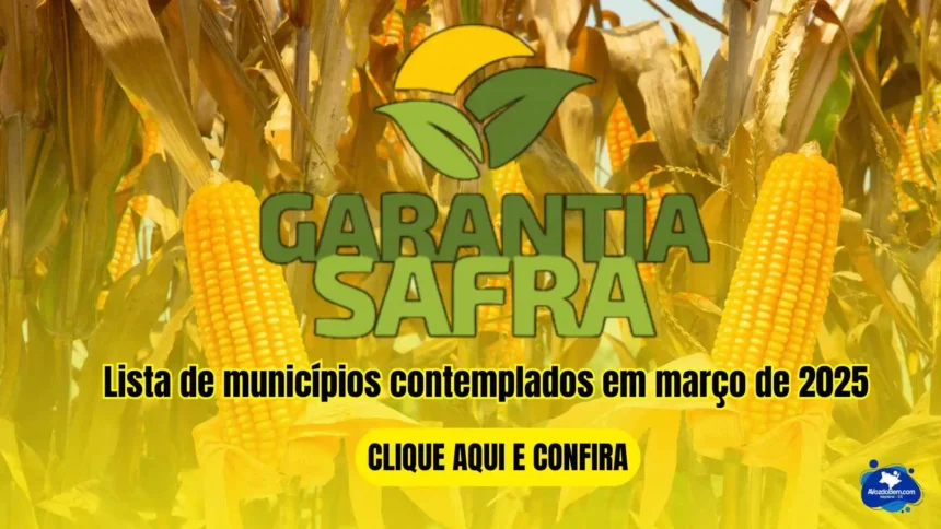 Saiba a lista de municípios contemplados com o pagamento do Garantia-Safra em março de 2025